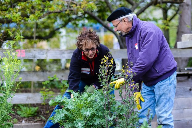 Interbay Giving Garden